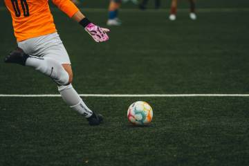 埃及球员哈尼单届世界杯两乌龙创纪录（配图示意）